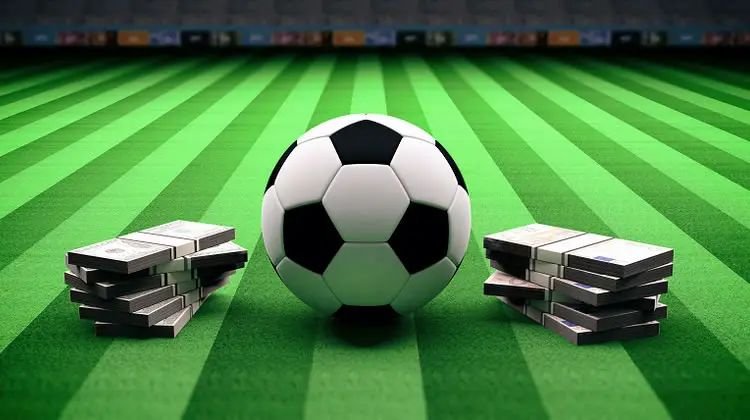 23-24赛季德国杯1-4决赛：勒沃库森vs斯图加特 《大鱼海棠》免费观看完整版海报图