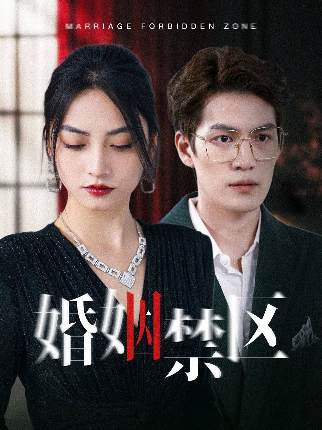 婚姻禁区 高清免费看电视剧软件海报图