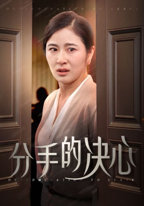 分手的决心 沙海电视剧全集免费观看海报图